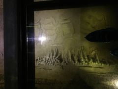 iphone_upload_pic-汉景帝阳陵博物院