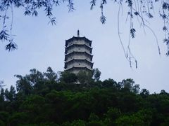 -深圳国际园林花卉博览园