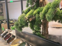 -洪氏嗨捞·猪肚鸡火锅(阳光天地店)