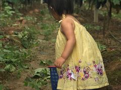 -武汉紫薇都市田园