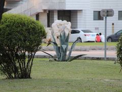 -辽宁大学(崇山校区)