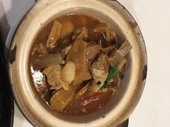-詠春园