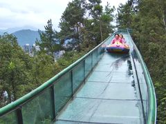 -千岛湖天屿景区