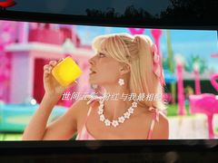 -枫花园汽车电影院(朝阳公园店)