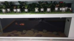 -禾梧舞蹈·DANCE WITH ME