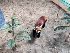 -石家庄市动物园