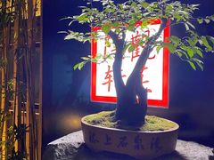 -觀芷隐轩