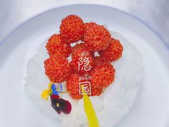 -隐园