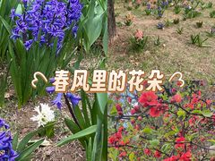 -迎泽公园