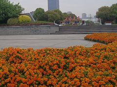 -映月湖中央公园
