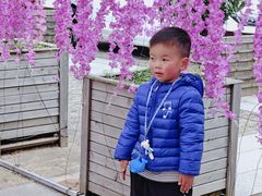 -苏州海洋馆
