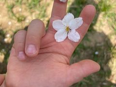 -中央电视塔旋转餐厅