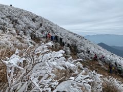 -金子山原生态旅游风景区