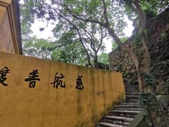 -雨花胜境