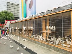 -三福百货(石路店)