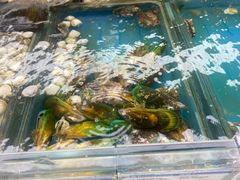 -盒马鲜生(宝地店)