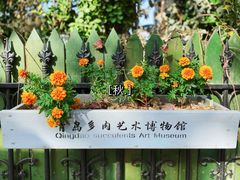 -八大关景区