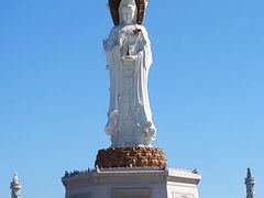 -呼兰河口湿地公园