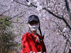 -定都峰