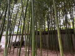 -罔极寺