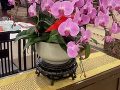 -顺峰·粤菜海鲜·早茶自助(阜成店)