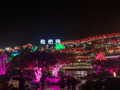 -枇杷园食为鲜火锅(南山店)