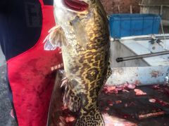 -金台阶鱼馆(于桥水库店)