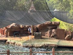-杭州长乔极地海洋公园