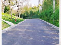 -大宁郁金香公园-停车场