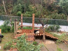 -黔灵山公园