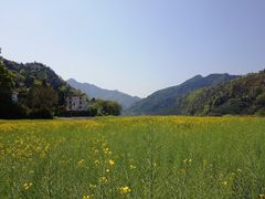 -新安江山水画廊风景区