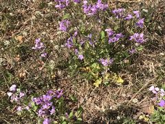 -北京天湖会议中心