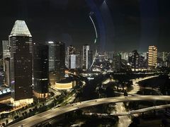 -新加坡摩天观景轮