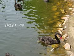 -长白岛森林公园