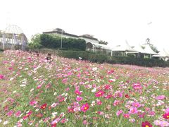 景点-紫颐香薰山谷景区