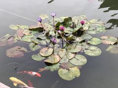 -粤剧艺术博物馆