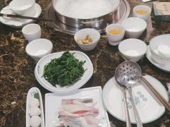 -鱼粤鲜淘米捞·中山脆肉鲩火锅(悦湖会店)