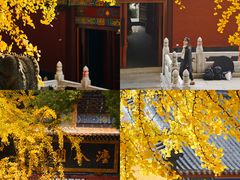 -宝通禅寺