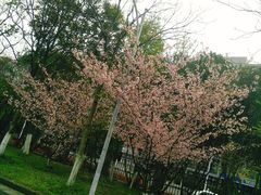 -杭州师范大学(下沙校区)