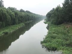 -东郊湿地公园