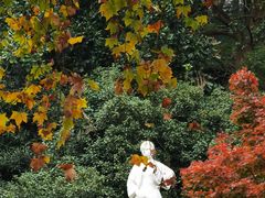 -星巴克(杭州北山路店)