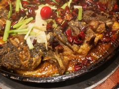 -老板恋上鱼(恒隆广场店)