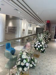 -深圳米兰柏羽医疗美容医院