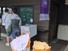-富田农场