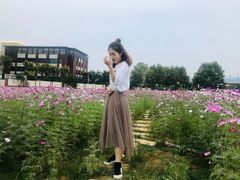 -南京医科大学(江宁校区)