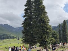 -新疆那拉提国家旅游度假区