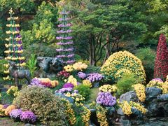 -杭州植物园