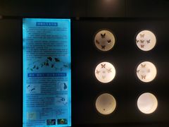 -下渚湖国家湿地公园科普馆