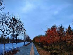 -伊犁河风景区
