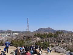 -白水寺森林公园